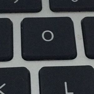 Meet your Posher, Owen